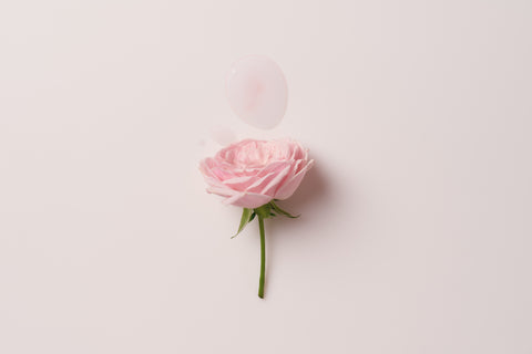 FALLING INTO THE ROSE MIST